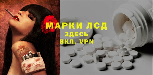 каннабис Болотное