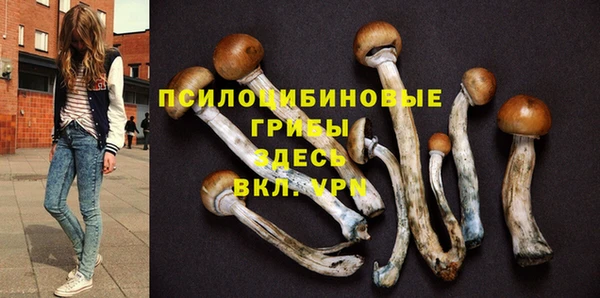 ALPHA PVP Лиски