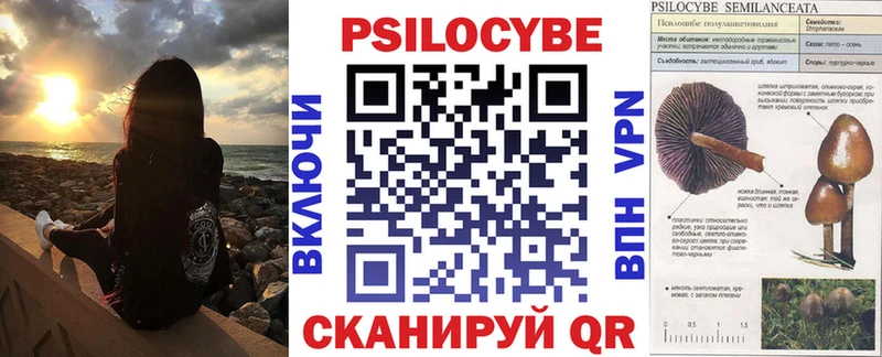 Псилоцибиновые грибы мицелий  Пересвет 